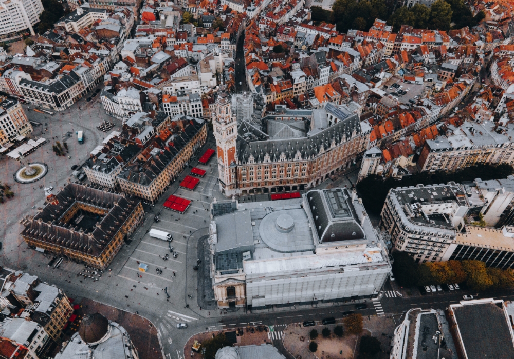 Les nuisibles les plus courants à Lille et comment s’en débarrasser efficacement