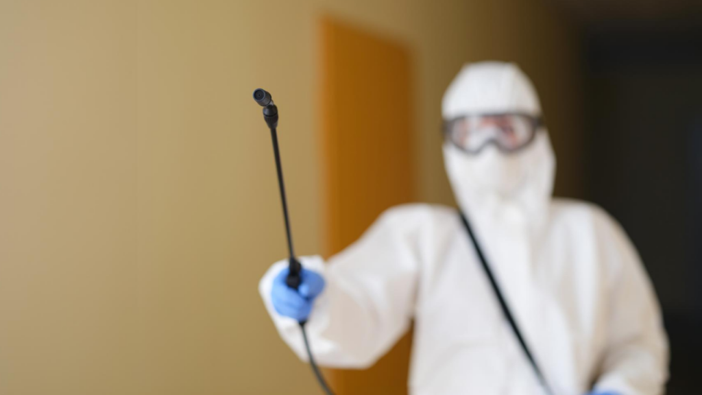 Nuisibles en copropriété : qui est responsable et comment agir dans le Nord